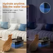 Fontaine à eau intelligente pour chat – 2,2 L – Capteur de mouvement & filtre intégré – Recharge sans fil